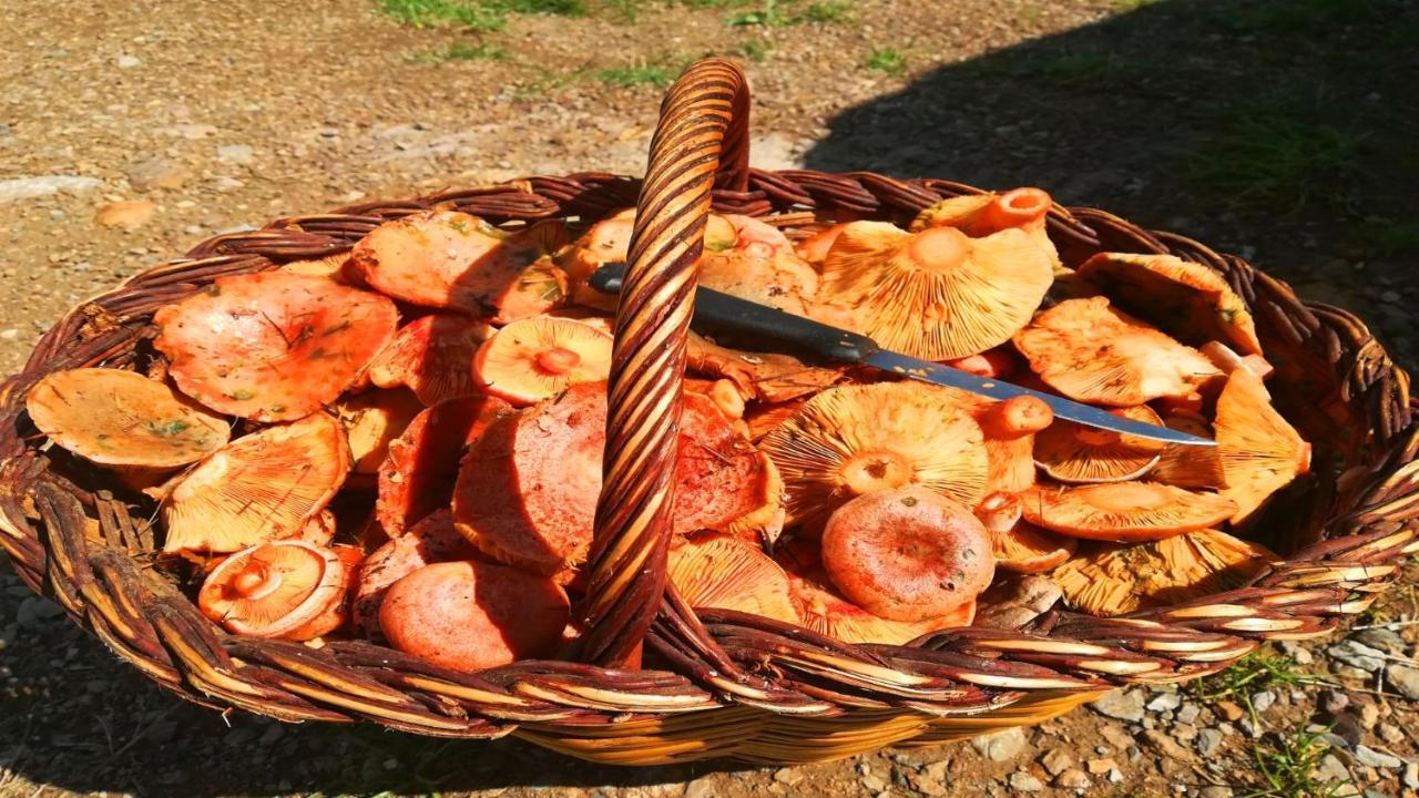 Masias De Rocabruna Kültér fotó
